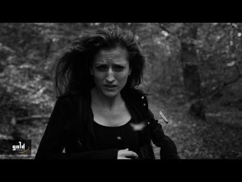 Gold Record Hungary and Honeybeast