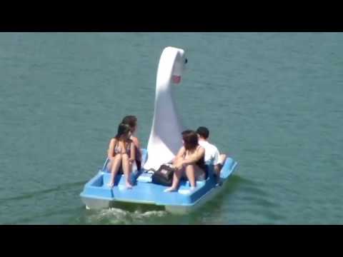 Ghioroc - iulie 2020