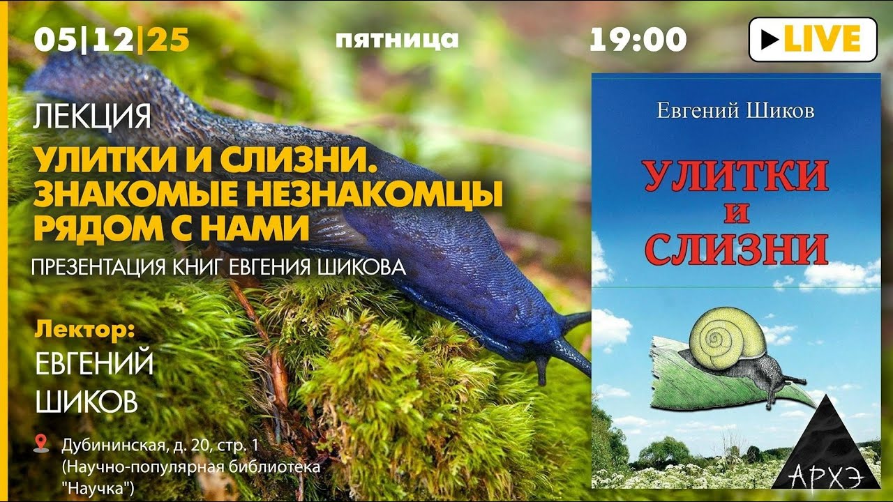 Лекция «Улитки и слизни. Знакомые незнакомцы рядом с нами» в рамках презента