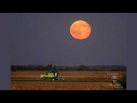 Corn rigs and Barley rigs. Lyrics ENG/ESP