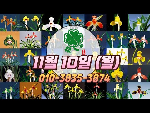 유튜브 썸네일