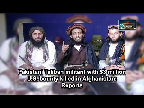 Pakistani Taliban militant with $3 million U.S. bounty killed in Afghanistan Reports