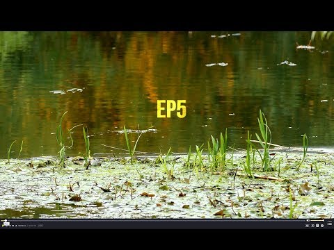 Stationar&Feeder Ep5