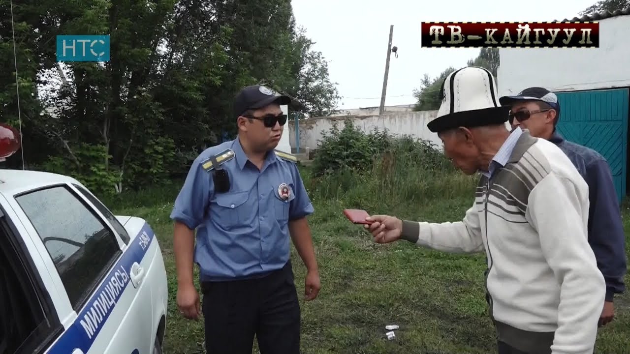 TV Kaiguul 141 / Таанышына, керек болсо Атасына ишенген Айдоочулар/ НТС