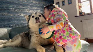 Huskies Reunite With Their Favorite Person Ever!😭. [BEST REUNION EVER!!]