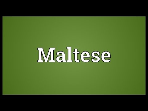 Maltese Meaning