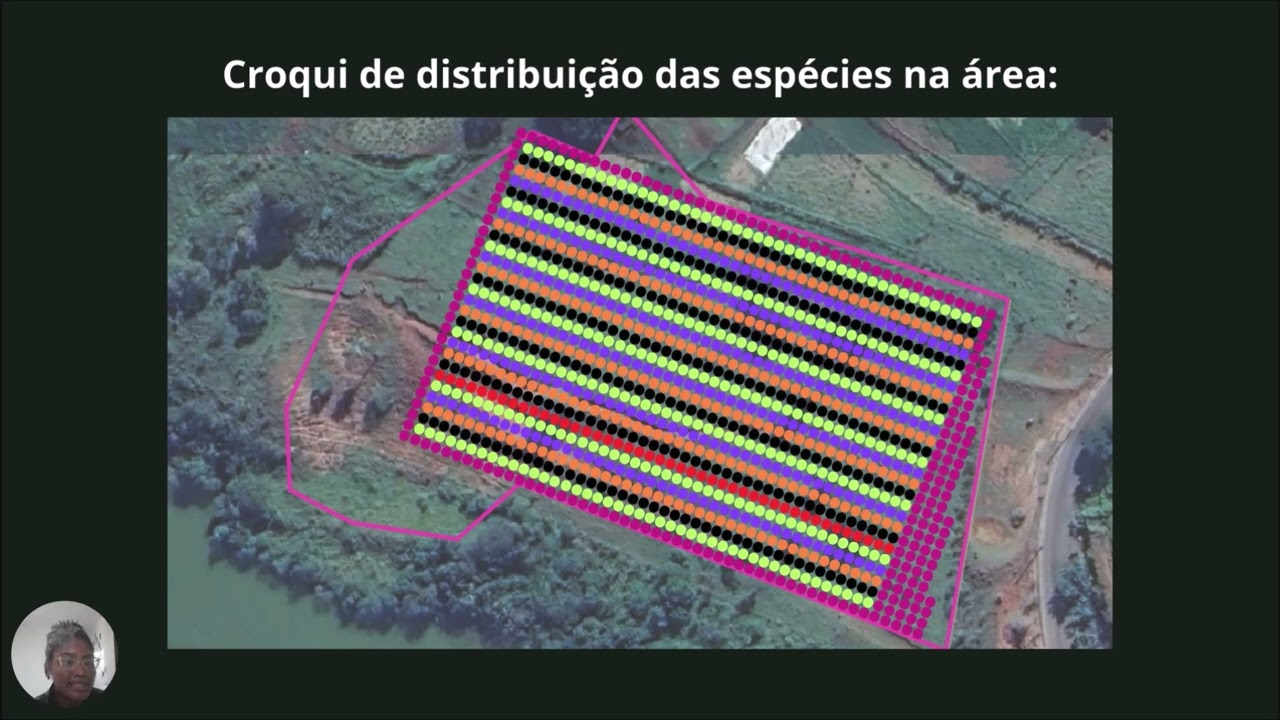 Apresentação SAF Suzana de Souza