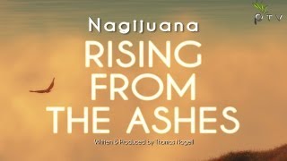 Nagijuana - Rising From The Ashes (Original Mix)