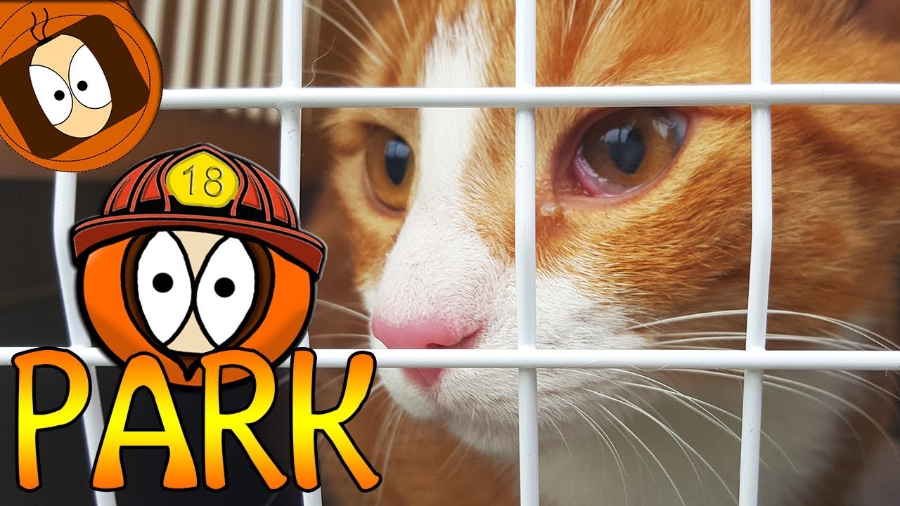 PARK : RETOUR CHEZ LE VÉTÉRINAIRE ... 🐾❤️