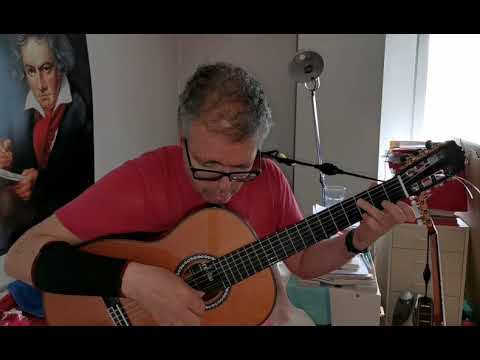 Matteo Carcassi, Etude op 60 no 1, Allegro