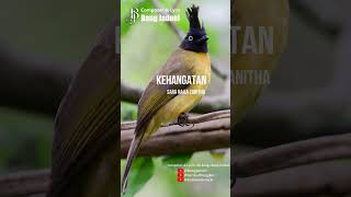 Download lagu KEHANGATAN   SARA NAILA ZANITHA mp3