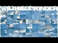 Paul Weller - Wild Blue Yonder (Demo)