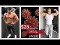 HOW TO GET QUARANTINE SHREDDED FOR CHEAP | JASON POSTON