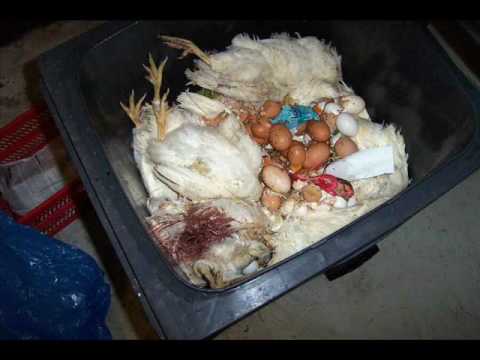 Marcophono - Der Müllschnüffler bei Galeria Kaufhof