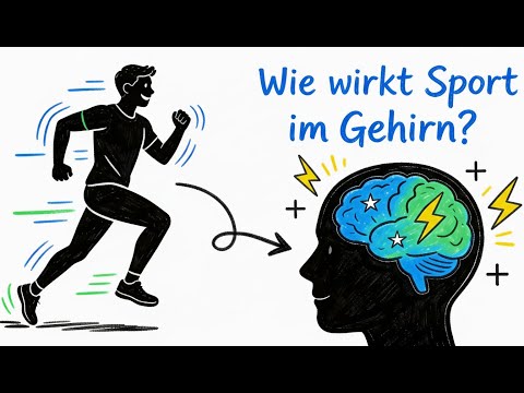Was passiert im Gehirn beim Sport?