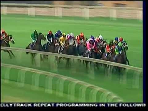 2013-03-12 Turffontein - race 2