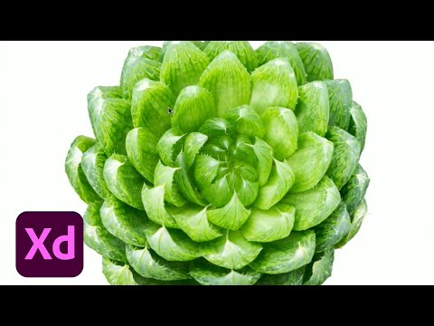 Live UI/UX Design with James Hsu - 2 of 3 | Adobe Creative Cloud