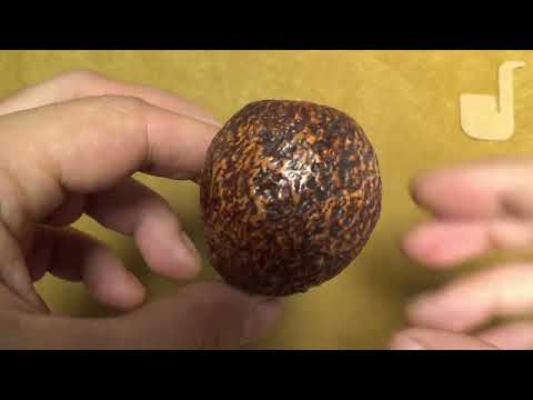 Pipa Ser Jacopo (R1) rusticata - Standup Bent Apple - SJ280