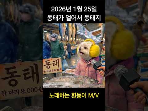 노래하는 흰둥이 M/V - [20260125 동태가 얼어서 동태지] #Shorts#직장인공감
