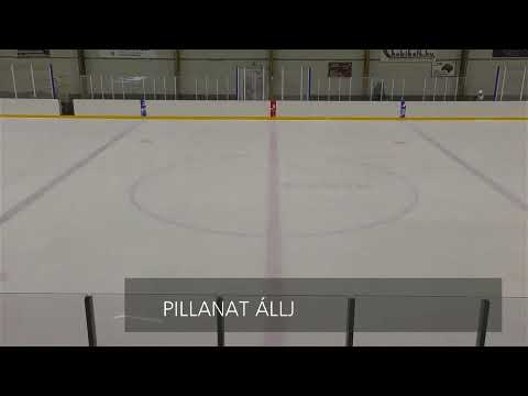 U12 320 PHC-Farkasok - KMH SE Pirates 20201206