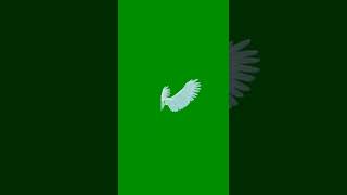 Download lagu [HD material sharing] #green screen material #material sharing Angel wings from two different angles mp3
