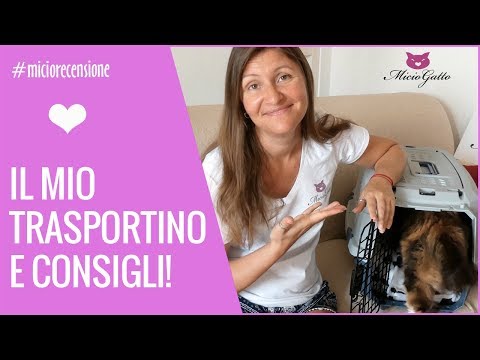 Metodi di pulizia di un organismo di parassiti Aglio con latte come mezzi da vermi