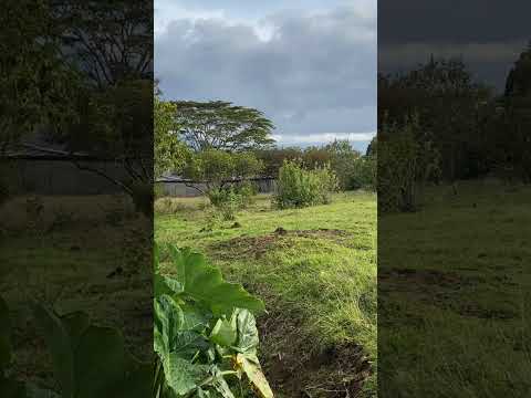 se vende LOTE EN SAN ISIDRO HEREDIA #realestate #invierteenbienesraices #bienesraices