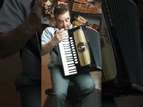 Hohner Triple Musette Demo