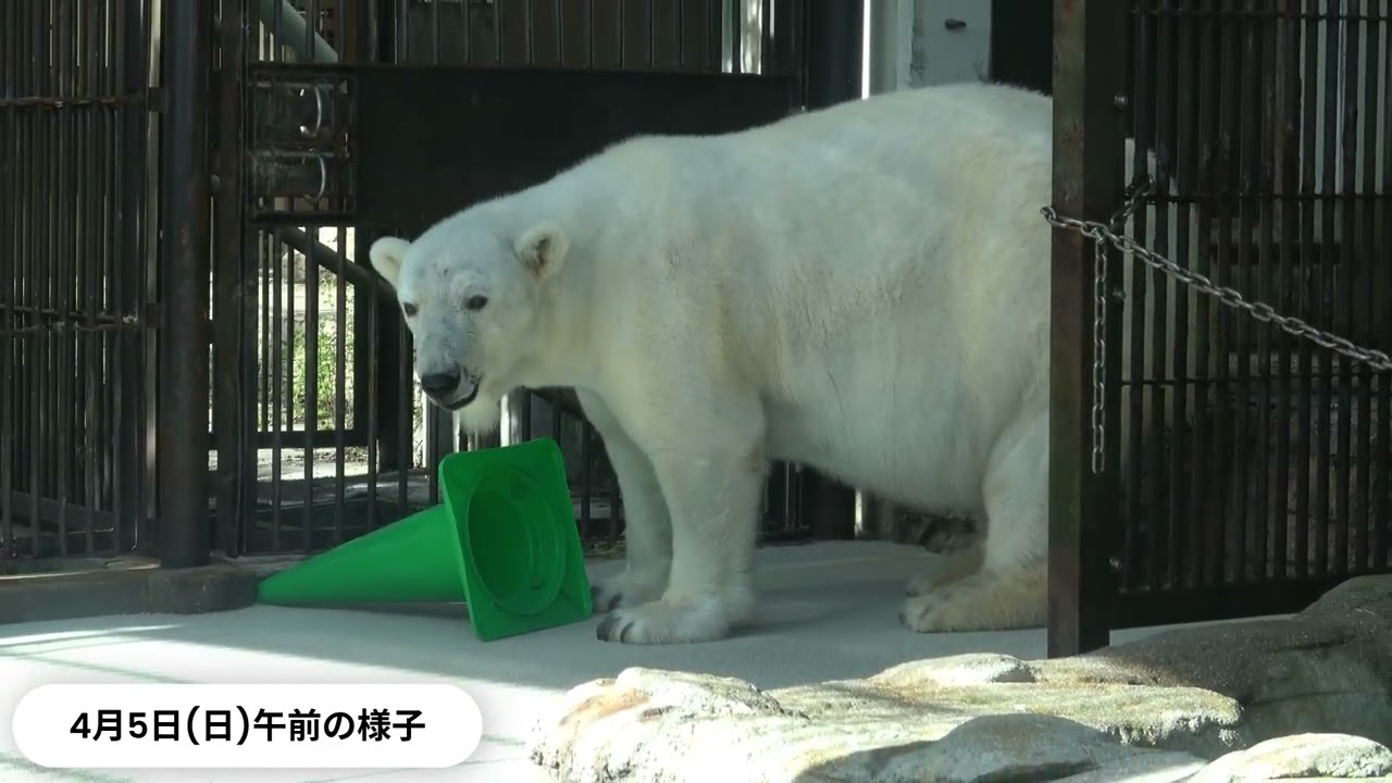 2026年4月5日のピース