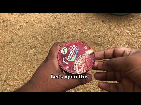 Elephant House Chocolate Ice Cream Cup Review