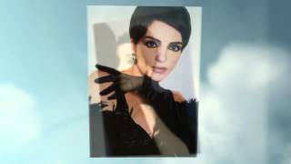 LIZA MINNELLI  it had to be you