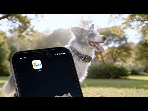 GPS трекер для кота и собак TIZE 4G 820 мАч с ошейником, отслеживанием, mini, без подписки, черный - фото 1 - id-p2939746610