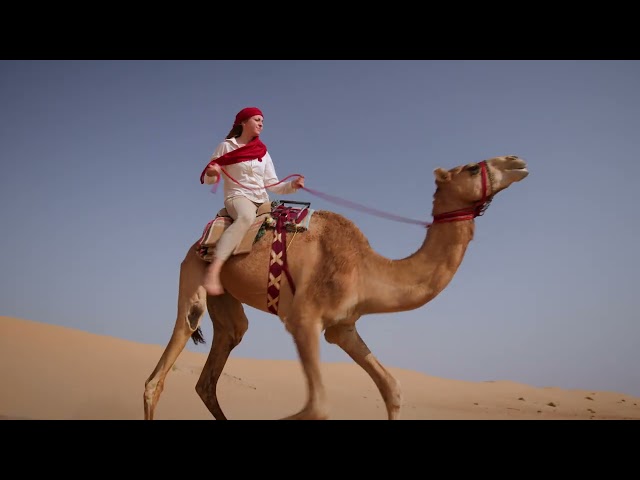Hamloul_Trailer