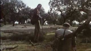 Los Santos Inocentes