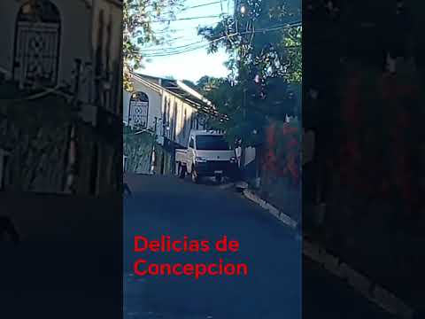 Delicias de Concepcion