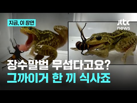 아이콘