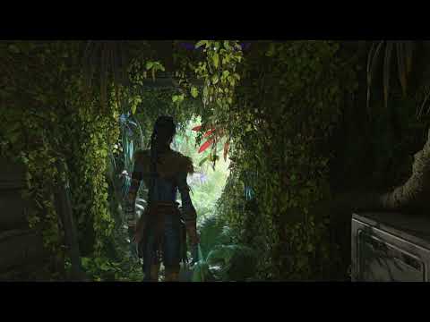 Avatar FOP: How to Start  New Game Plus (NG+), Where it Starts, & What it Comes With