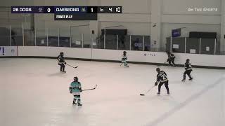 HIGHLIGHTS | DAESEONG ELEMENTARY vs 2B DOGS | 2025. 10. 31 | CITRUS CUP 2025