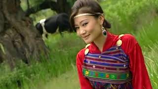 Download lagu FA KEW SI LUMA||TANDIN BIDHA||CHENCHO DORJI|| mp3