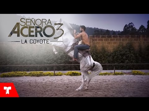 Señora Acero (2014-2019)