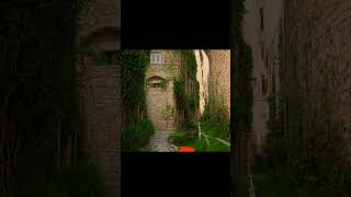 squinting your eyes and say what you see?😲 #human #nature