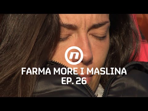 Maja o bratu i rođendanu - Epizoda 26 | Farma More i Maslina
