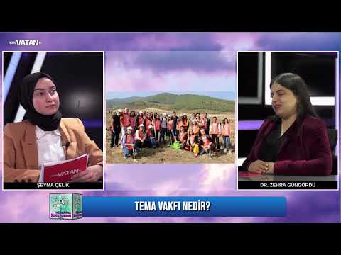 Tema vakfı nedir? Görevleri nelerdir?