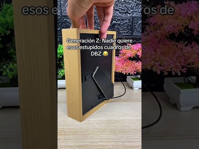 Vídeo relacionado con Get Trend Dragon Ball Super Calzoncillos Niño Boxer Algodon Elástico, Pack 5 Ropa Interior, 7-15 Años, Goku Vegeta Regalos de Anime Manga (13-14 Años, Multi Dragon Ball)