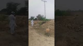 Blast damages electricity tower in Naseerabad