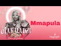 Makhadzi - Mmapula (Official Audio Visualizer) feat. DJ Call Me