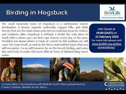 Conservation Conversations: Birding Hogsback-Cassie Carstens (21Feb23)