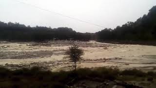 preview picture of video 'Sourabh van vihar(palmapur) after heavy rainfall in himanchal pradesh palampur.'
