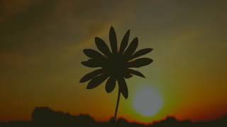 Download lagu Story wa islami keren 30 detik tidak akan kecewa kalo berserah diri kpada allah l ustad hanan attaki mp3