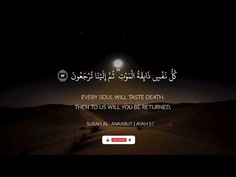 نص ساعه كاملة⏱️🎧 | تلاوة تقشعر لها الابدان بصوت عبد الرحمن مسعد | 🎧😌 Reciter Abdul Rahman Mosad